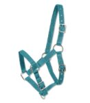 CAPEZZA FOAL* Capezze Nylon 